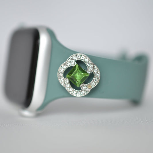 Apple Watch Band and Charm