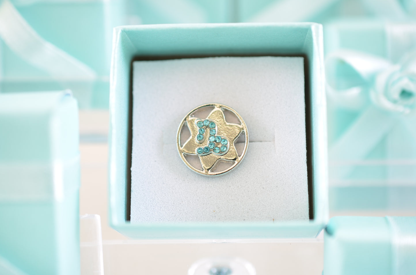 Zodiac Charm for Belt, Bag and Watch Bands (Capricorn)