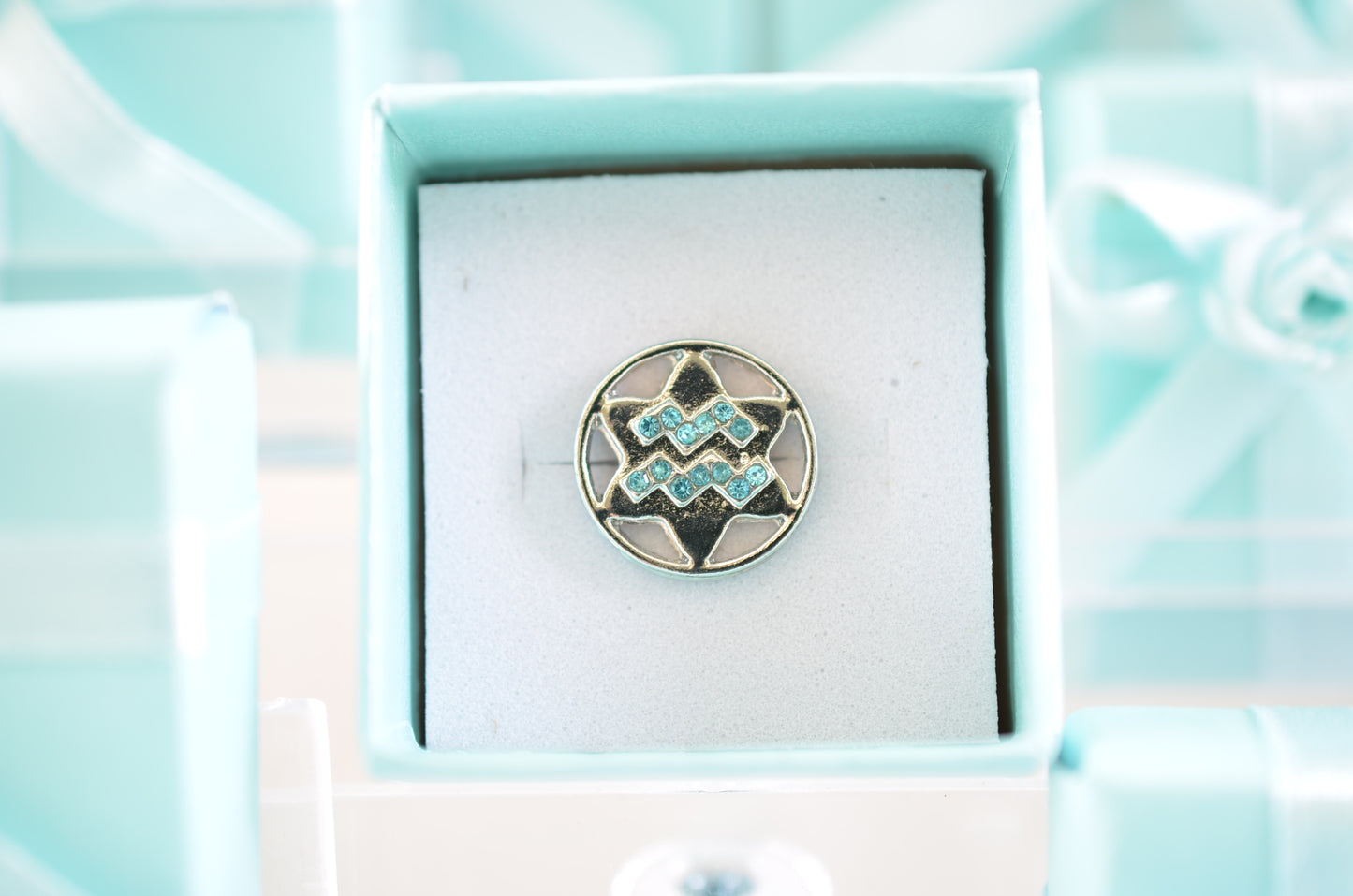 Aquarius Zodiac Charm for Belts, Bags and Watch Bands