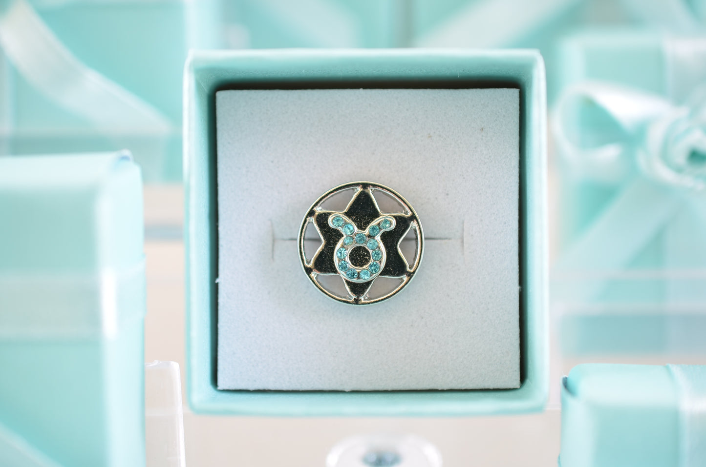 Zodiac Charm for Belt, Bag and Watch Bands (Taurus)