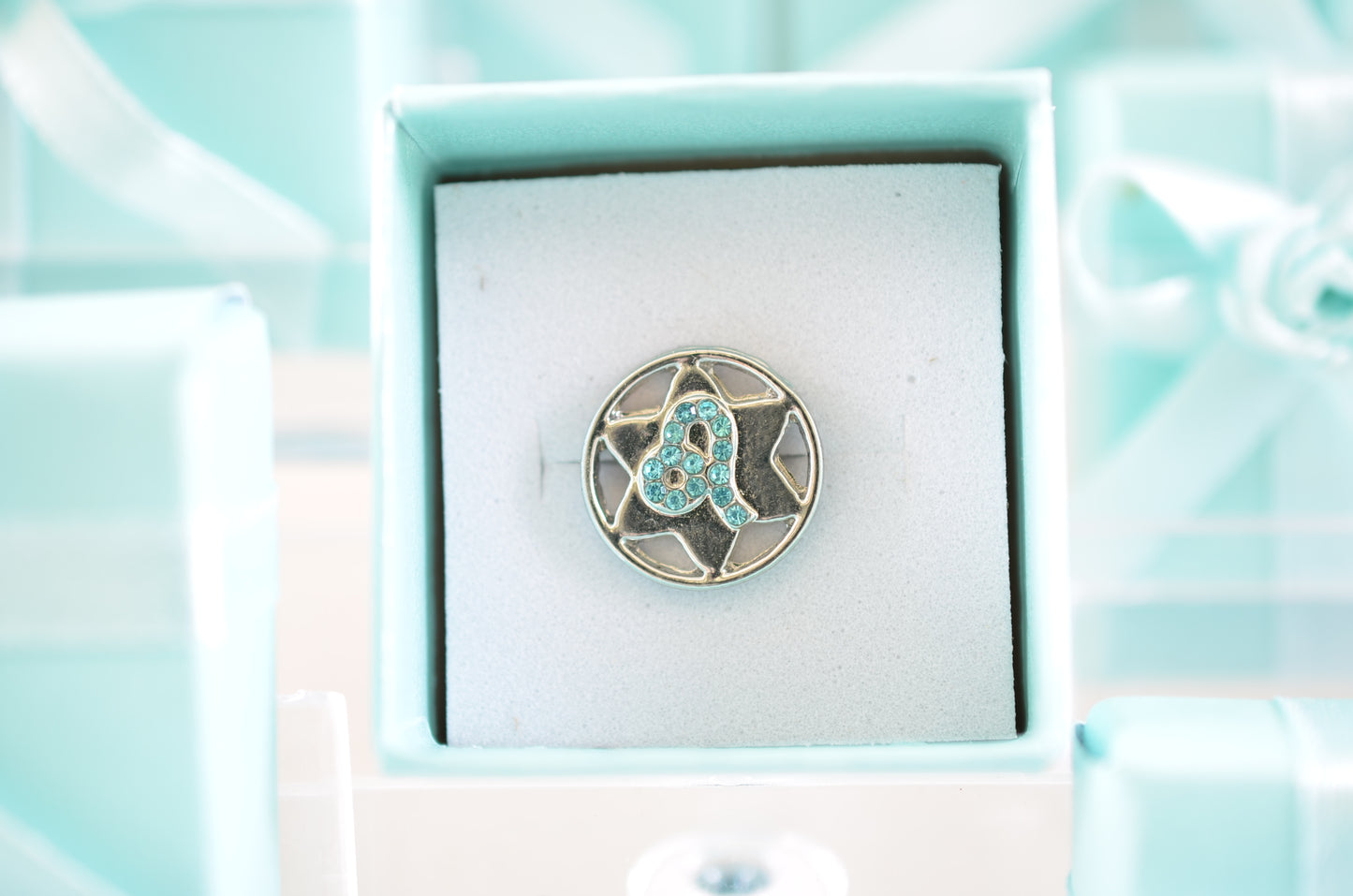 Leo Zodiac Charm for Belts, Bags and Watch Bands