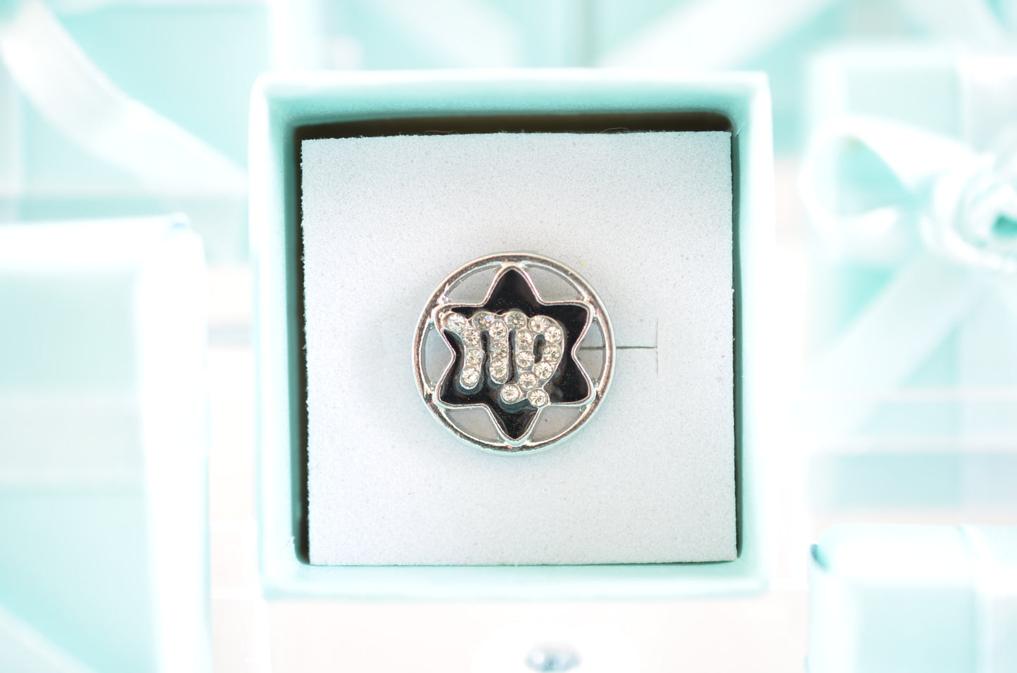 Zodiac Charm for Belt, Bag and Watch Bands (Virgo)