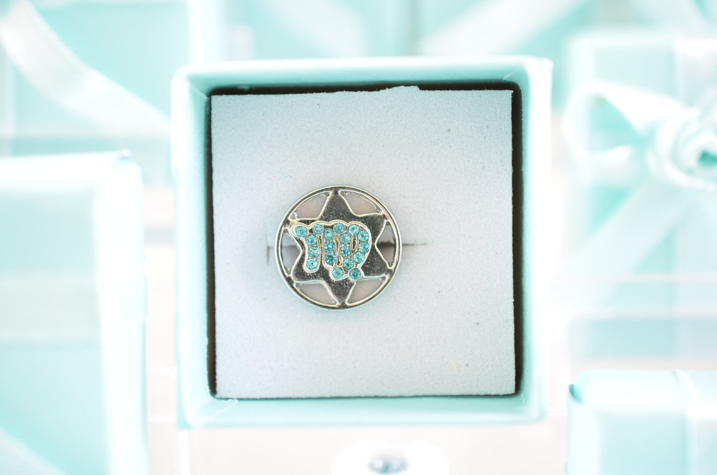 Zodiac Charm for Belt, Bag and Watch Bands (Virgo)