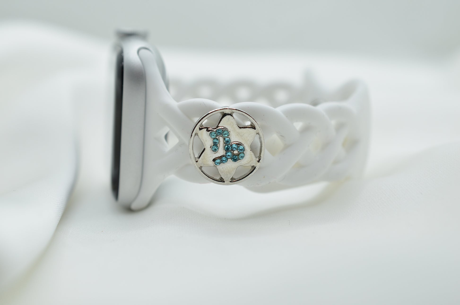 Zodiac Charm for Belt, Bag and Watch Bands (Capricorn)